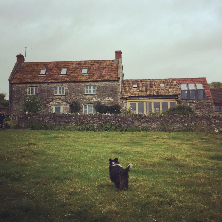 Bed and Breakfast Castle Farm Wedmore Exterior foto