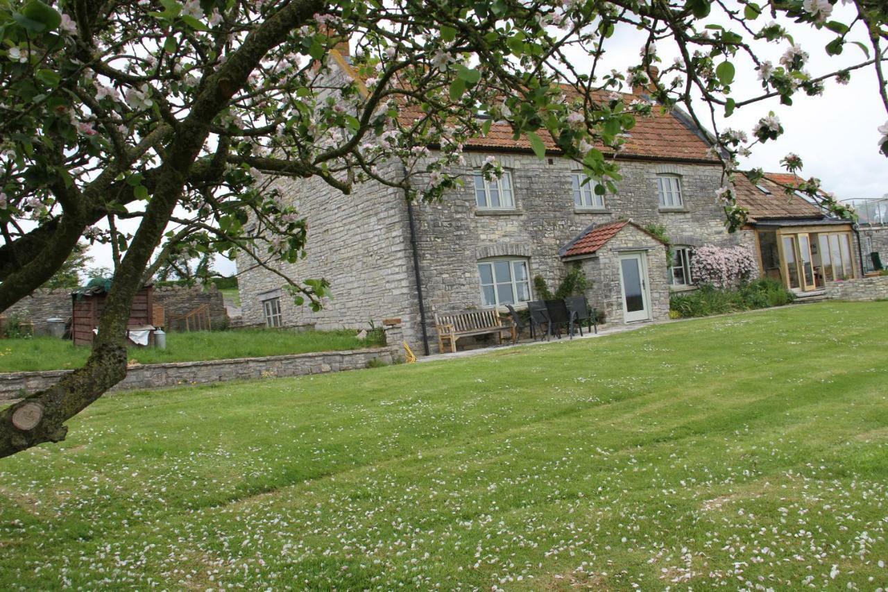 Bed and Breakfast Castle Farm Wedmore Exterior foto